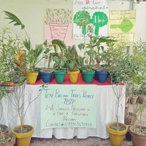 Green Seekers Activity